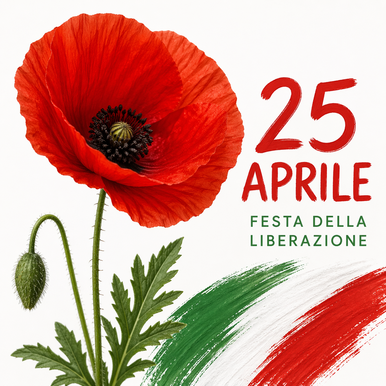 Immagine di sfondo della notizia